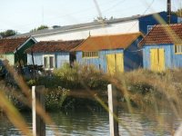 RETOUR SUR L'ILE D'OLERON